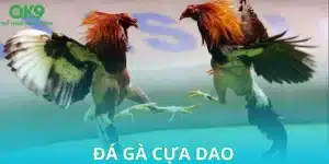 da ga cua dao