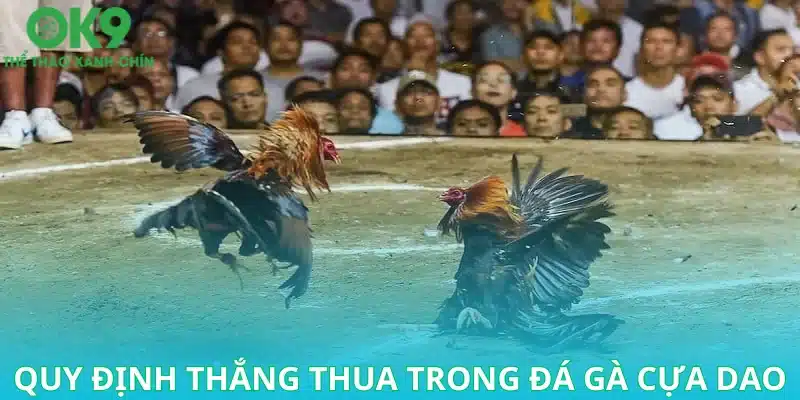 THOMO69 Đá Gà Cựa Dao Khám Phá Thế Giới Gà Chọi Huyền Thoại