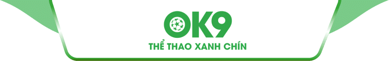 logo ok9