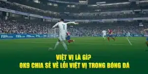 việt vị là gì